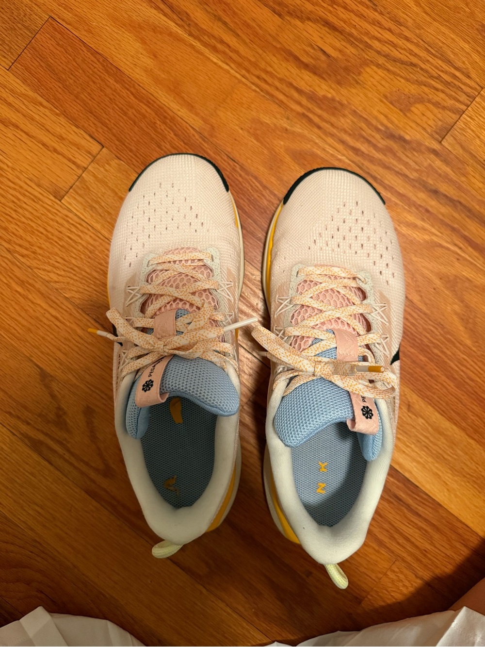 Women’s Nike Pegasus Shoes